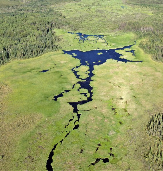 Wetland Atlas of Alberta
