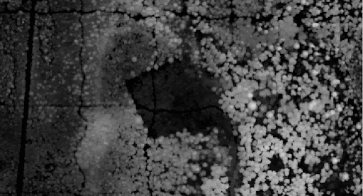 Results: Green bounding box: HFI data / Blue bounding box: predicted data