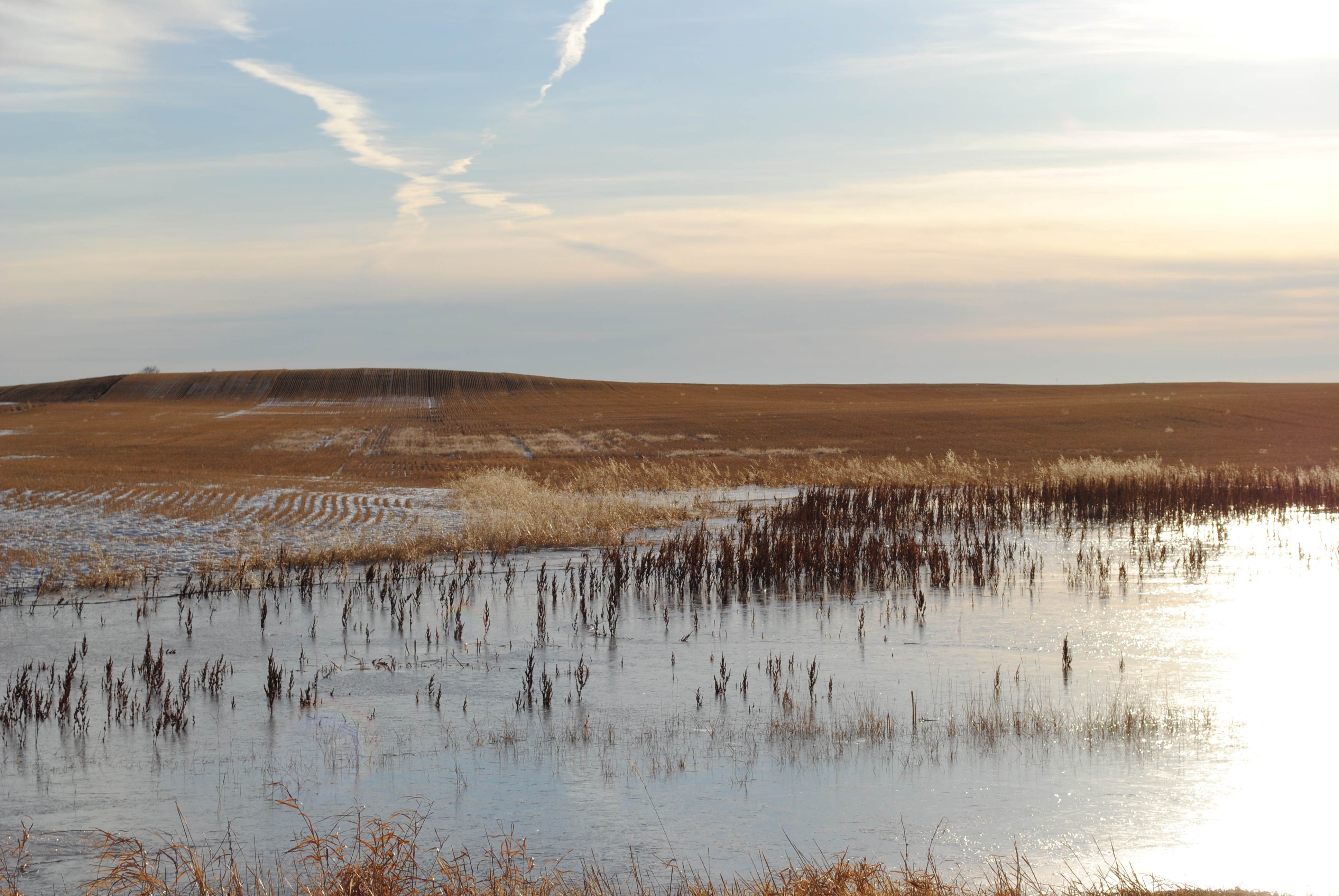 Planned Wetlands Project in Pleasant Prairie is a Win for the